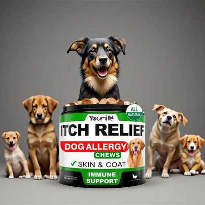 Dog Itch Relief Allergy Chews, Dog Itching, Used For Immune Support+Gut Health+Soothing Skin Itching And Ear Itching+Dog