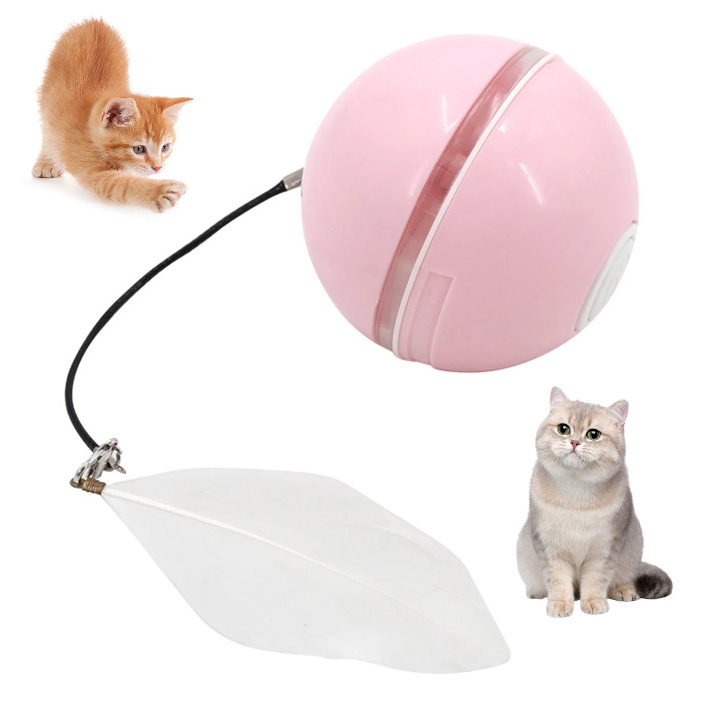 USB Rechargeable Cat Ball for a Kitten