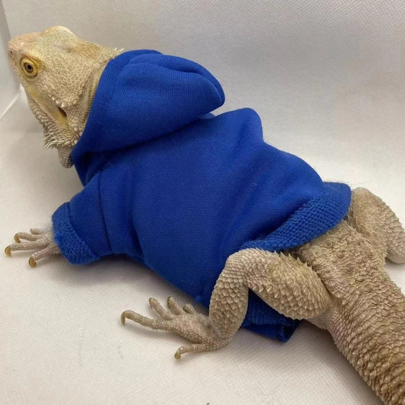 Bearded Dragon Sweater Jackets, Warm Coat Hoodies, Soft Touching Skin