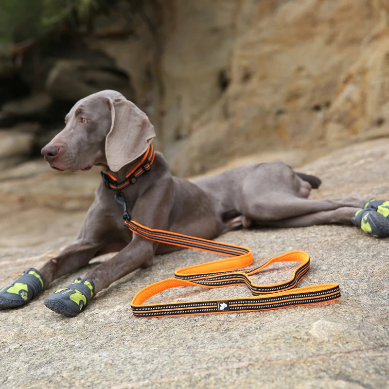 Dog Leash with Padded Handle Training