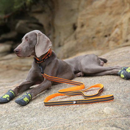 Dog Leash with Padded Handle Training