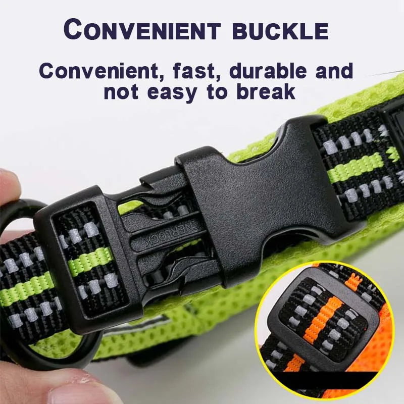Dog Walking Collar Comfort Padded with Buckle Nylon