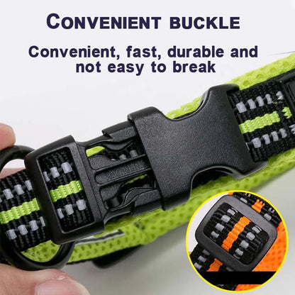 Dog Walking Collar Comfort Padded with Buckle Nylon