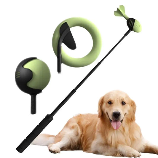 Pole Pet Throwing Stick and ball