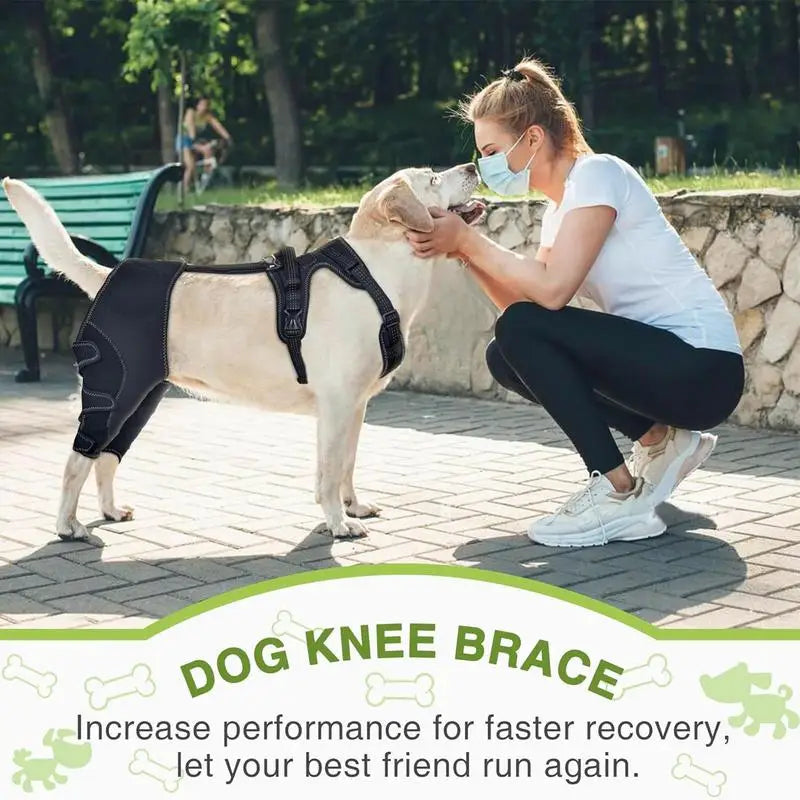 Dog Knee Brace