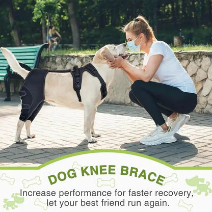 Dog Knee Brace