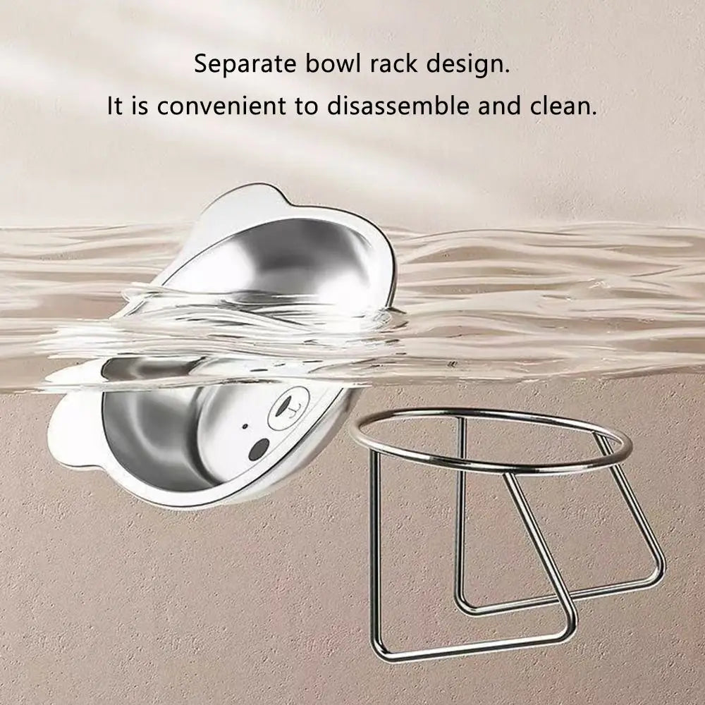 Stainless Steel Raised Cat Bowl with 15° Elevated Shatterproof for Cats and Puppies
