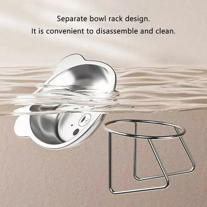 Stainless Steel Raised Cat Bowl with 15° Elevated Shatterproof for Cats and Puppies