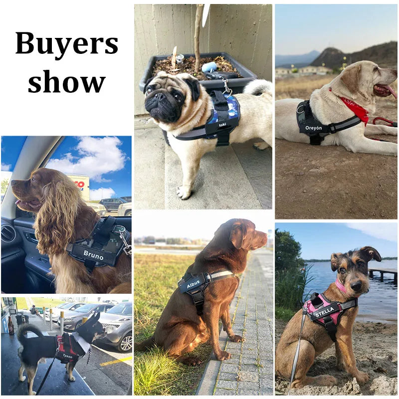 Personalized Dog Harness, NO PULL, Reflective, Breathable, Outdoor Walk Training Accessories