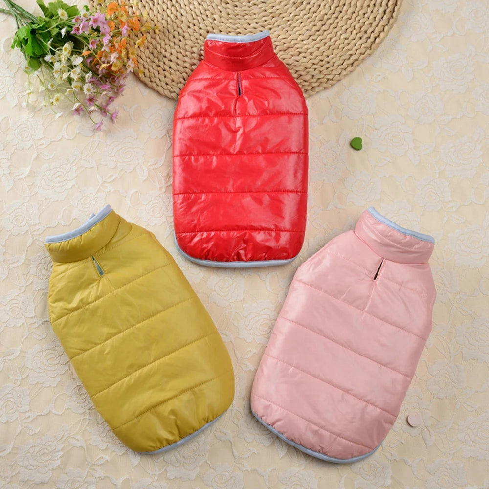 Double-sided Thicken Winter Dog Clothes