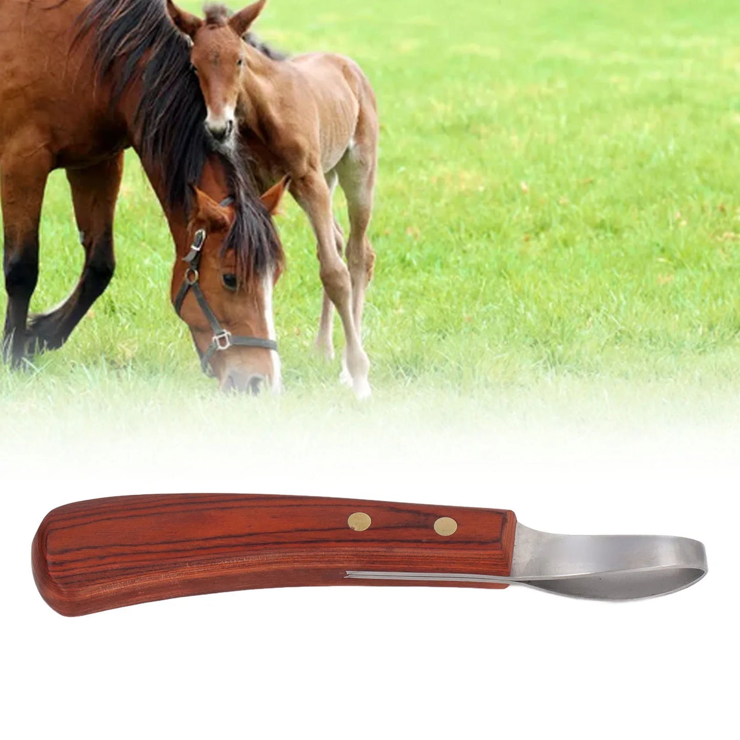 Horse Hoof Trimmer Shears, Stainless Steel Blade, Rubber Wood Handle, Multipurpose (Cattle and Horse Hoof Cutter)