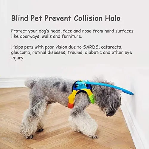 Protect your pet with Blind Dog Harness Vest – Safe Guide for Vision Loss & Collisions