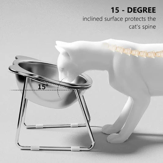 Stainless Steel Raised Cat Bowl with 15° Elevated Shatterproof for Cats and Puppies