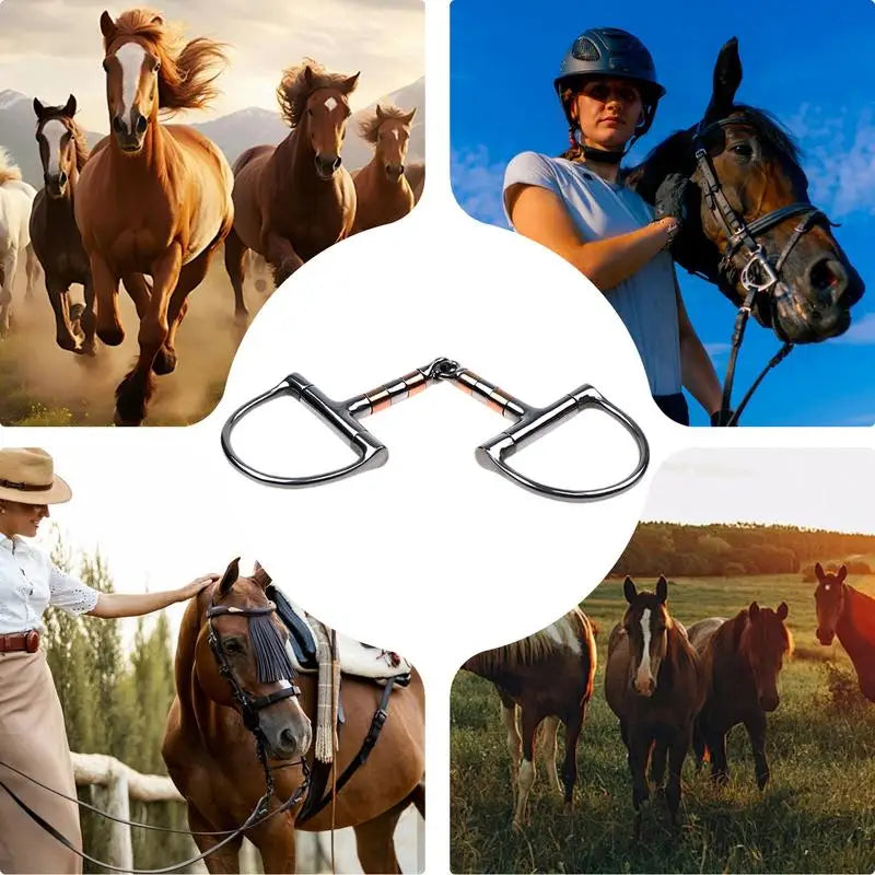 Snaffle Bit Ring for the Horse's Mouth