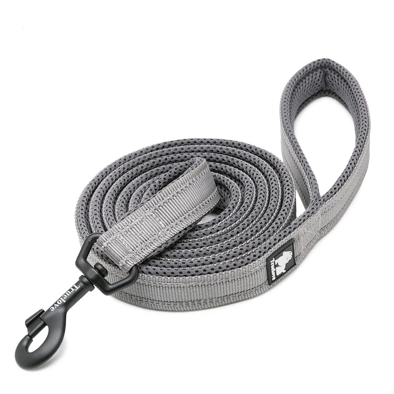 Dog Leash with Padded Handle Training
