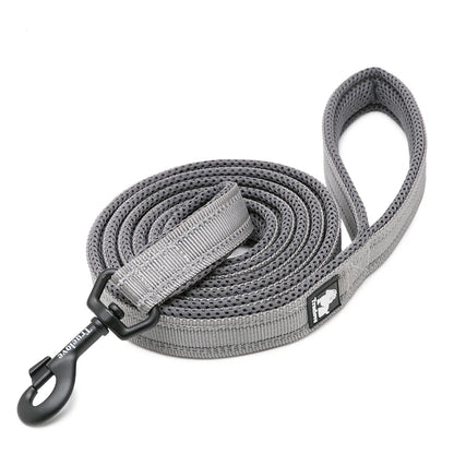 Dog Leash with Padded Handle Training