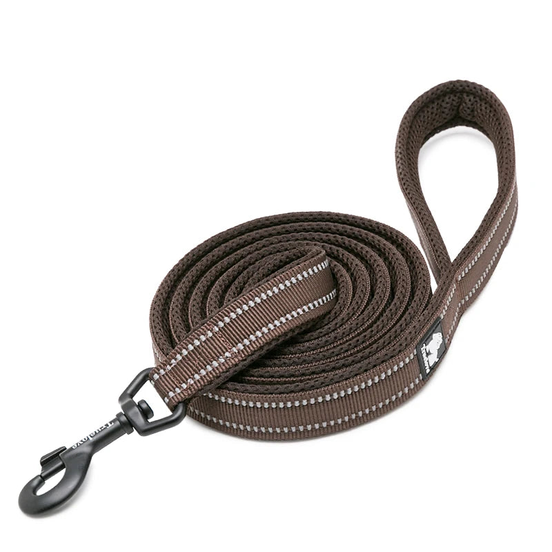 Dog Leash with Padded Handle Training