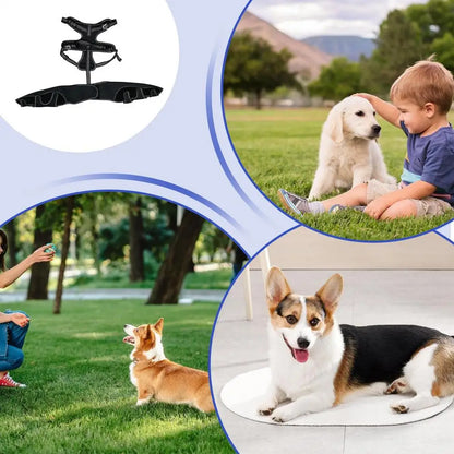 Orthopedic Hip Brace For Dogs