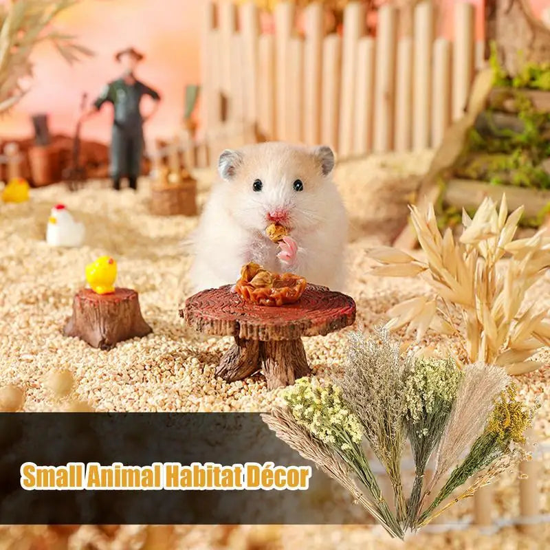Nature Flower Herb Hamster Bedding, Decor Hamster Cage,  Supplies For Hamsters,  Gerbil,  Rabbits, or Other Small Pets