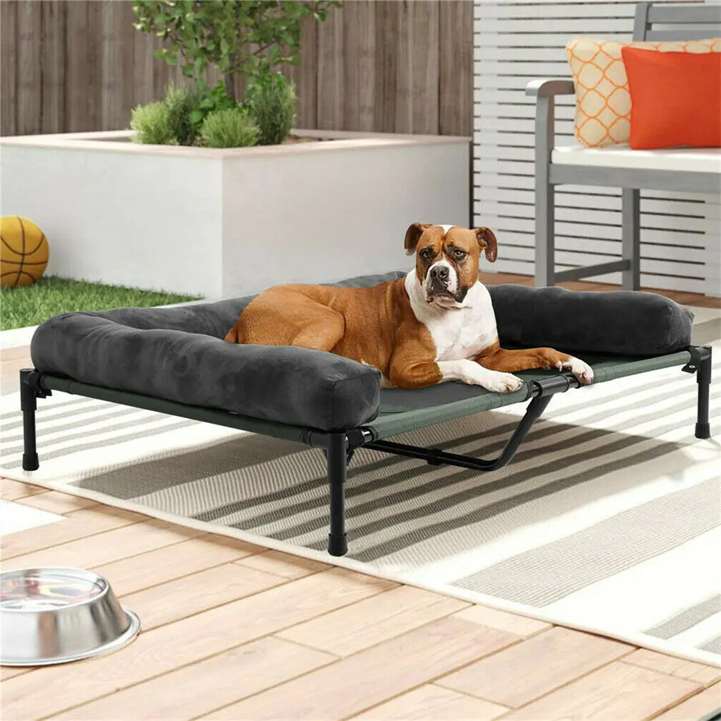 Elevated  Bed for Dogs and Cats Indoor and Outdoor