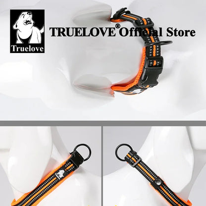 Durable Heavy Duty Training Custom Luxury Collar