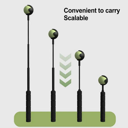 Pole Pet Throwing Stick and ball