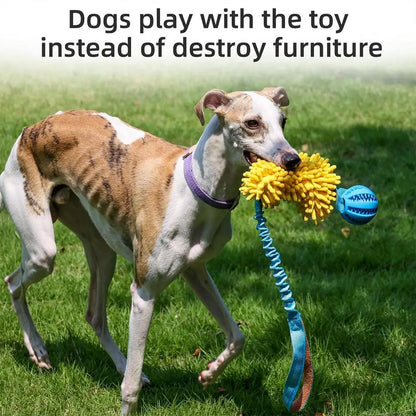 Dog Squeaky Toy Rope
