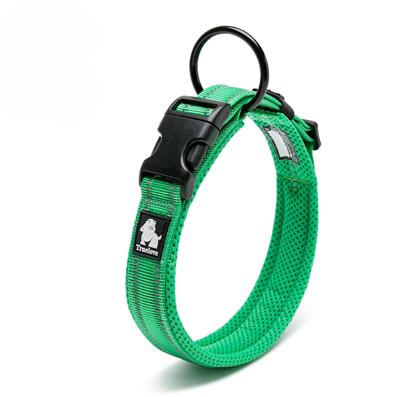 Dog Walking Collar Comfort Padded with Buckle Nylon