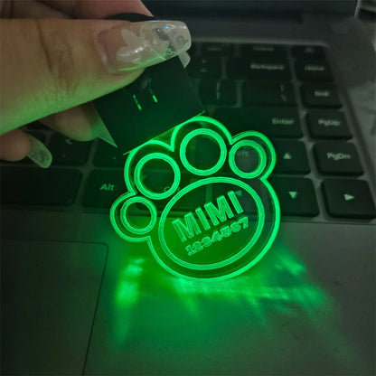 Night Walk Safety Light Dog Tag