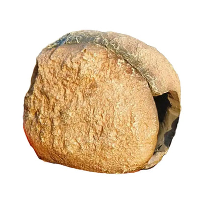 Magnetic Reptile Cave Simulated Rock, Shelter House Aquarium, Fish, Shrimp, Reptile , Magnetic Resin Hide Caves