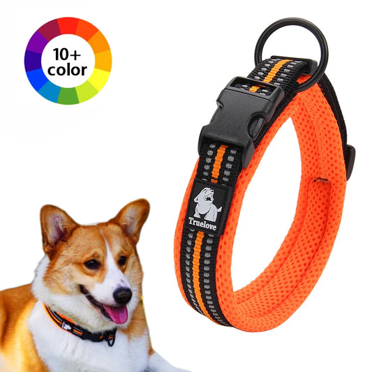 Dog Walking Collar Comfort Padded with Buckle Nylon