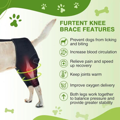 Orthopedic Hip Brace For Dogs