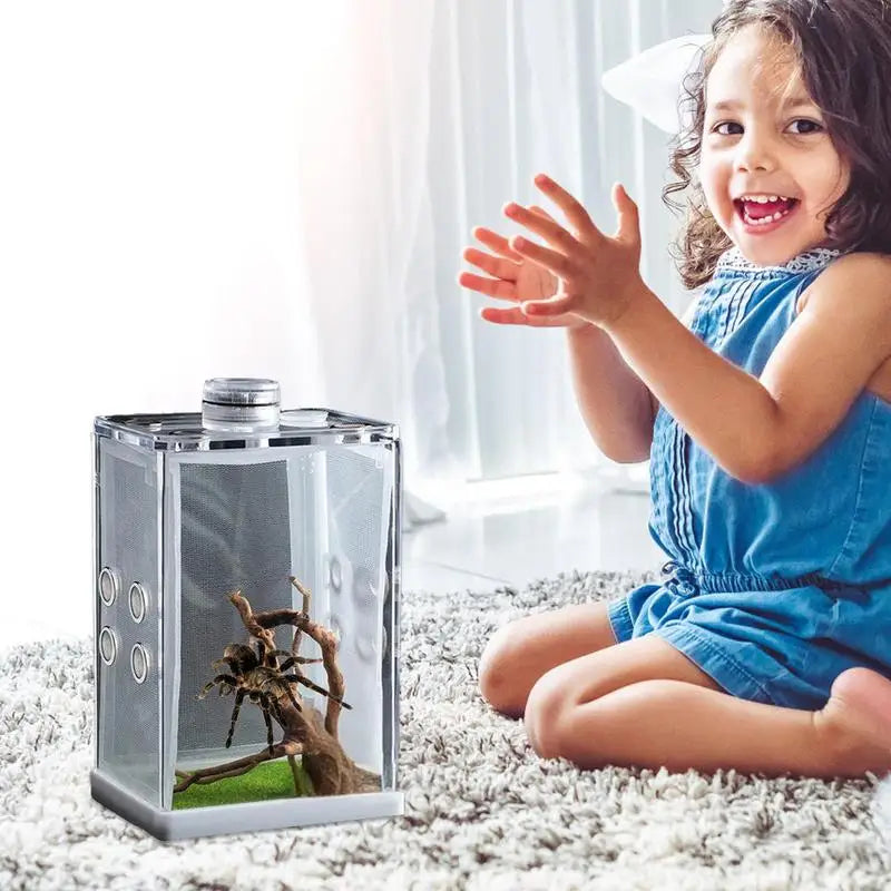 Reptile Hatching Box, Reptile Terrariums Enclosure,  Amphibian Supplies, Feeding Spider, Cage Feeding Container