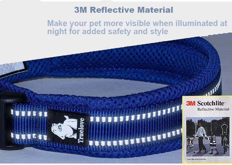 Dog Walking Collar Comfort Padded with Buckle Nylon