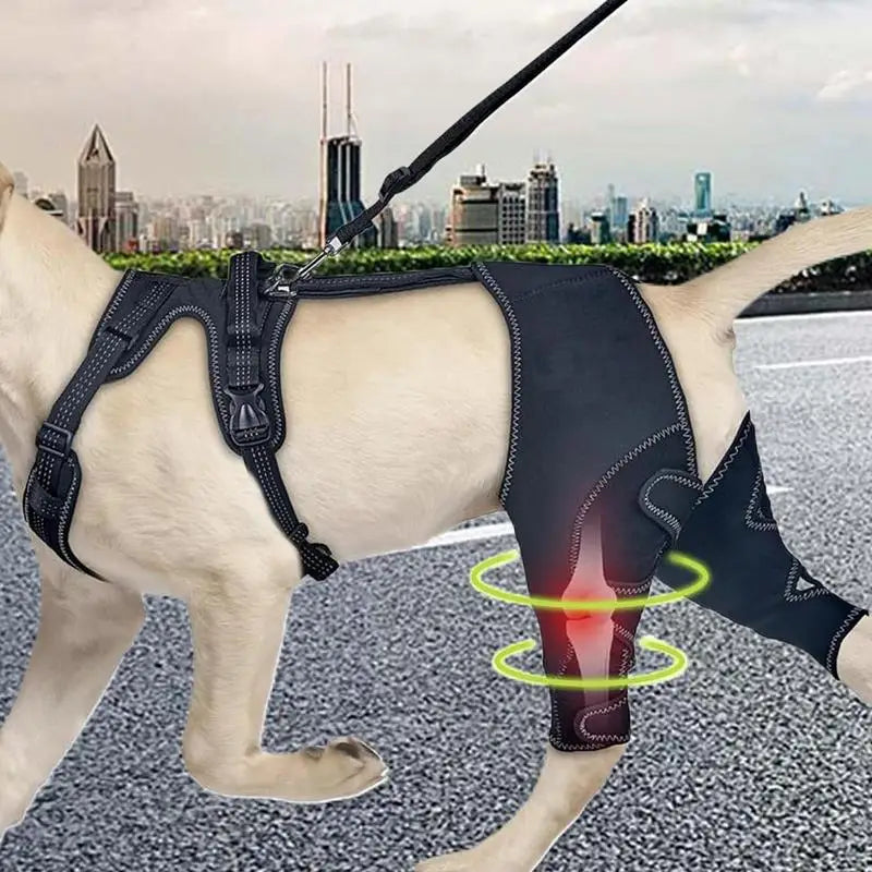 Dog Knee Brace