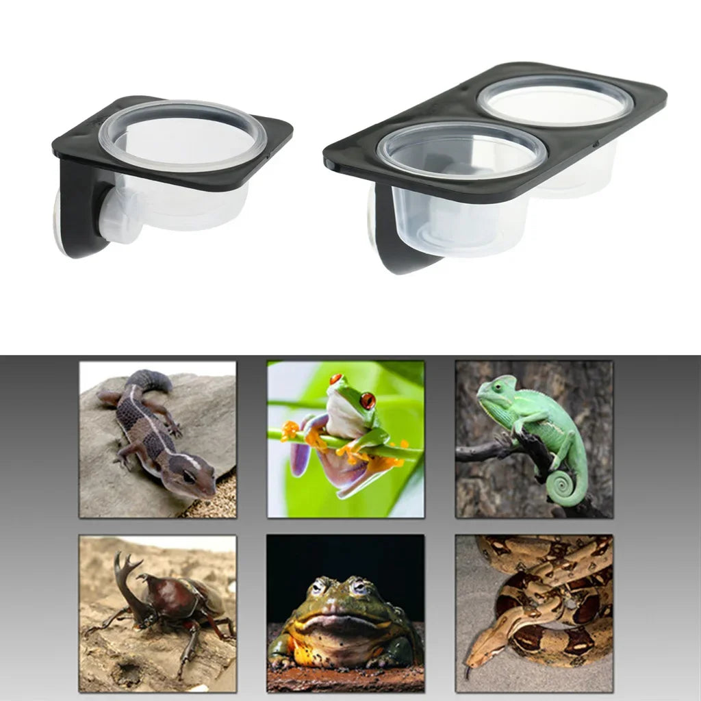 Reptiles & Amphibians, Lizard, Gecko, Suction Cup, Feed Bowls, Food Container with Bowl for Reptile Food and Water Feeding