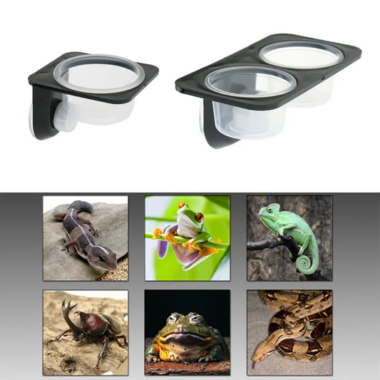Reptiles & Amphibians, Lizard, Gecko, Suction Cup, Feed Bowls, Food Container with Bowl for Reptile Food and Water Feeding