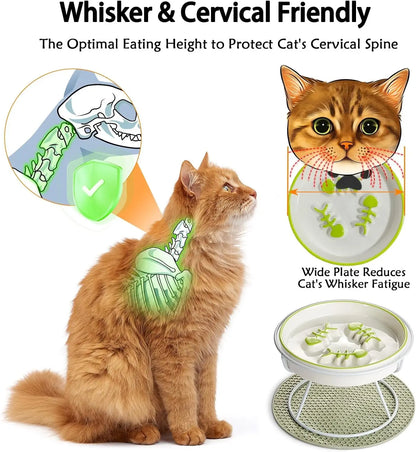 Elevated Ceramic Slow Feeder Bowl for Cats and Dogs, Reduces Vomiting and Choking, Whisker-Friendly Design