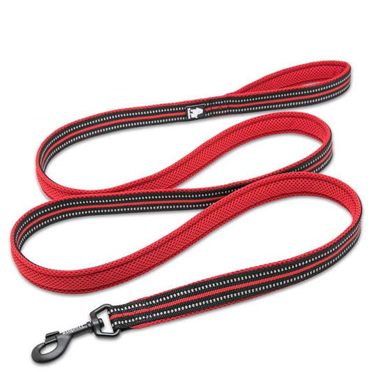 Dog Leash with Padded Handle Training