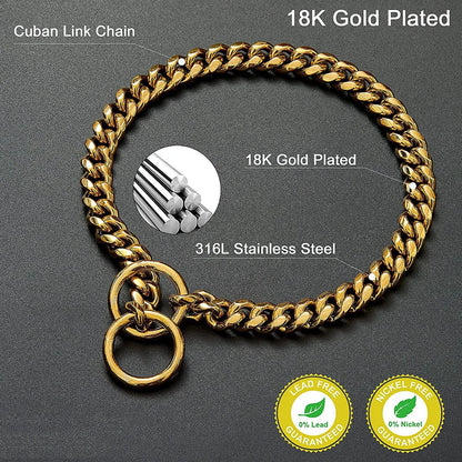 Stainless Chain Collar