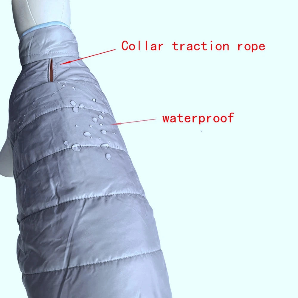 Double-sided Thicken Winter Dog Clothes