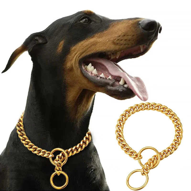 Stainless Chain Collar