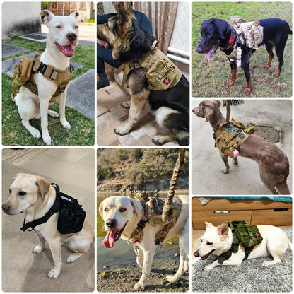 Large Dog Harness Training Vests and Tactic Collar Leash