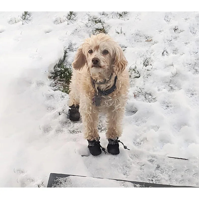 4Pcs Dog Boots, Waterproof, Non-slip, Reflective Strip , Adjustable Drawstring, Soft Breathable Shoes for Small and Medium Dogs