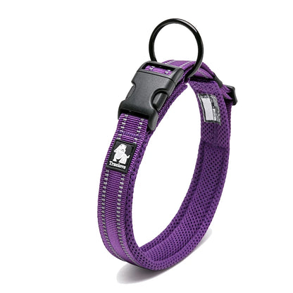 Dog Walking Collar Comfort Padded with Buckle Nylon