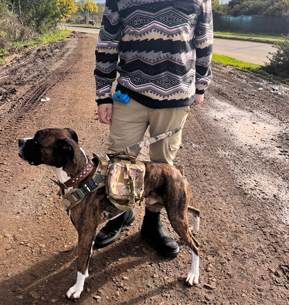 Large Dog Harness Training Vests and Tactic Collar Leash