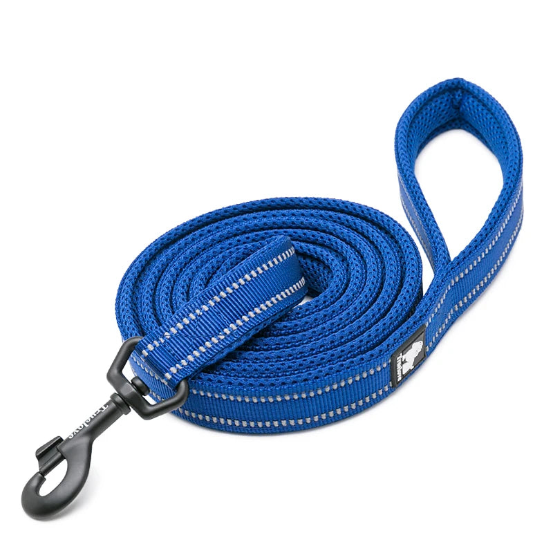 Dog Leash with Padded Handle Training