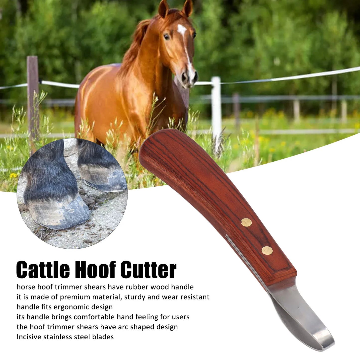 Horse Hoof Trimmer Shears, Stainless Steel Blade, Rubber Wood Handle, Multipurpose (Cattle and Horse Hoof Cutter)