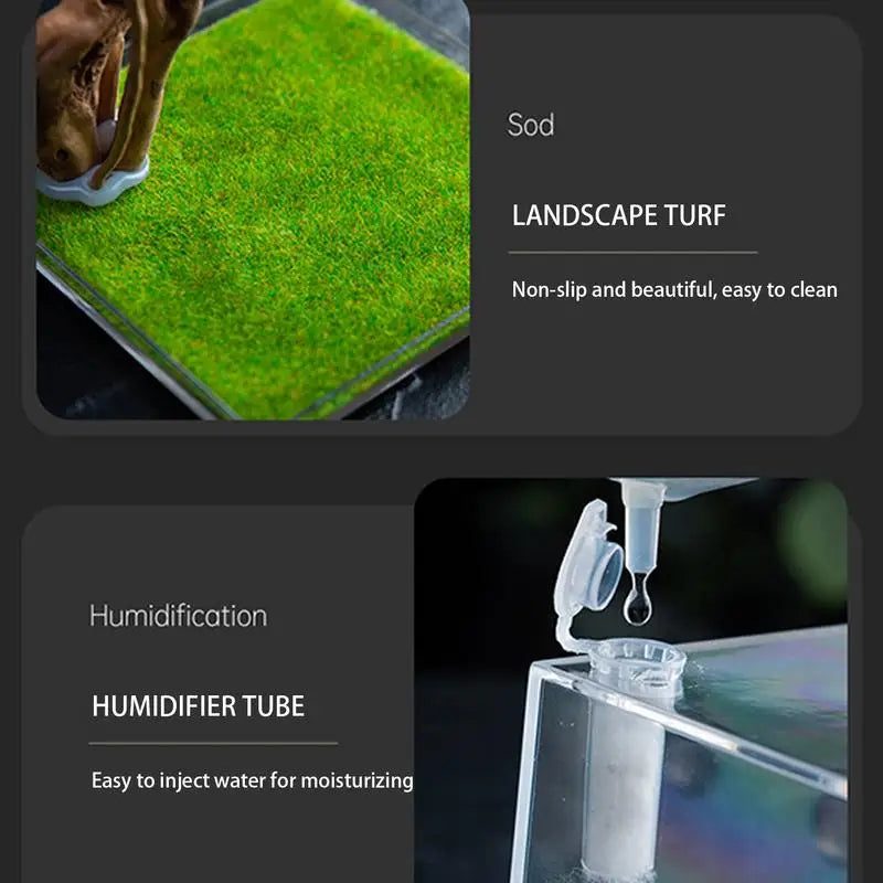 Reptile Hatching Box, Reptile Terrariums Enclosure,  Amphibian Supplies, Feeding Spider, Cage Feeding Container