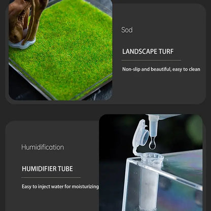 Reptile Hatching Box, Reptile Terrariums Enclosure,  Amphibian Supplies, Feeding Spider, Cage Feeding Container